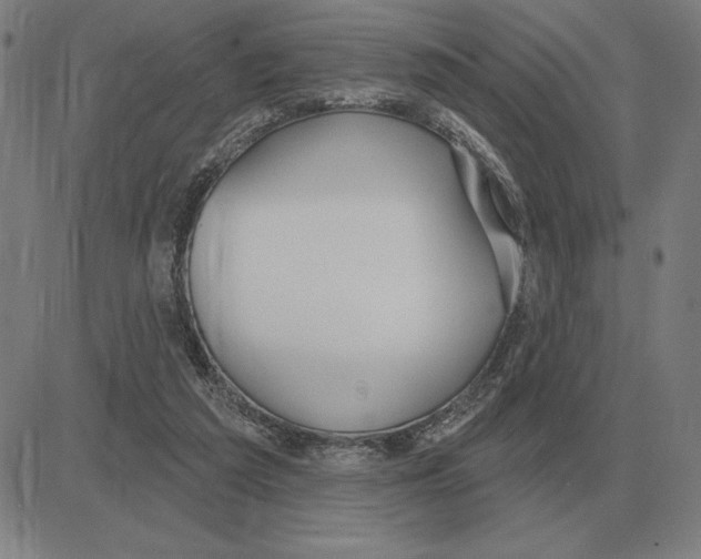X0000080130209200701051427