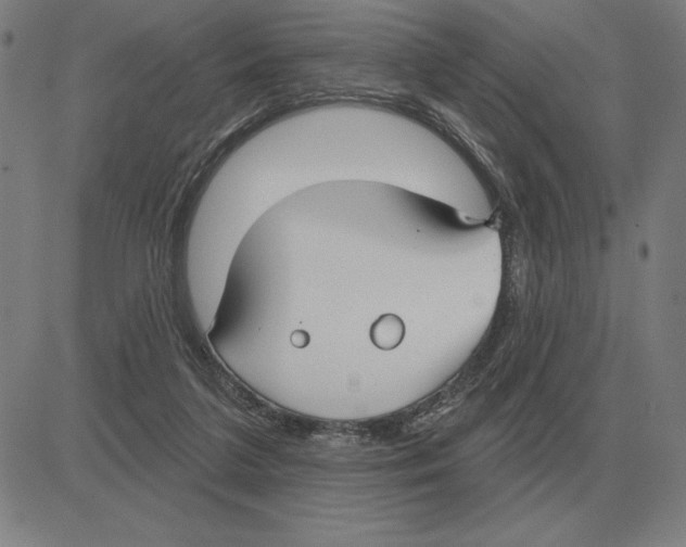 X0000080130211200701051427