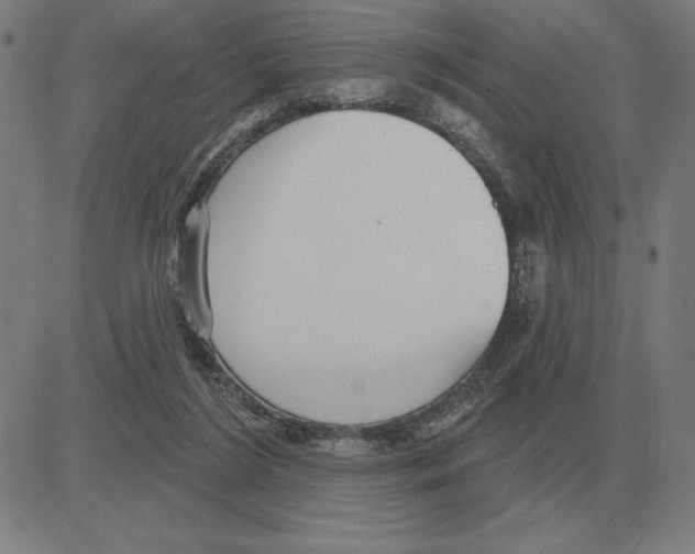 X0000080130212200701051427
