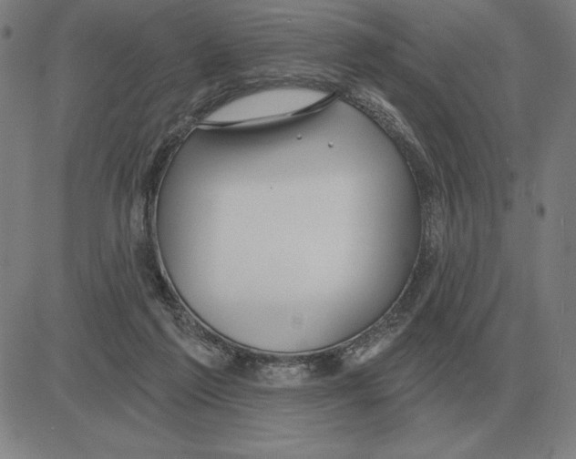 X0000080130213200701051427