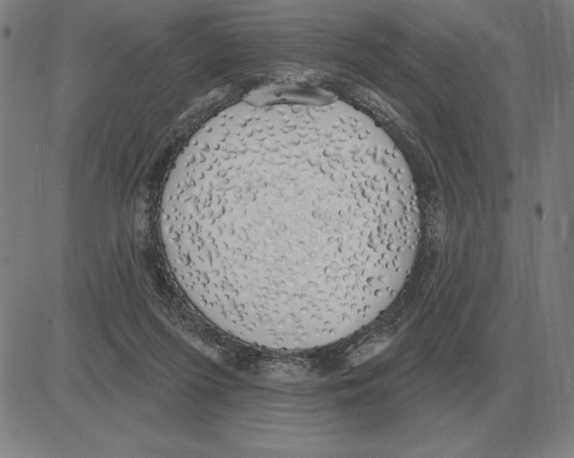 X0000080130215200701051427