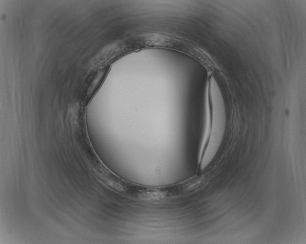X0000080130217200701051427