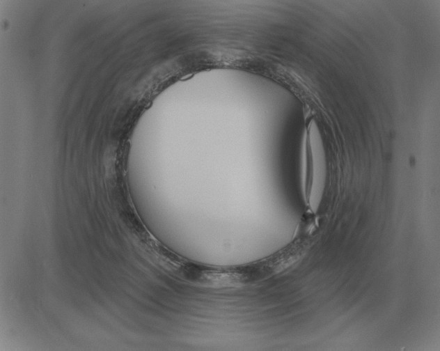 X0000080130221200701051427