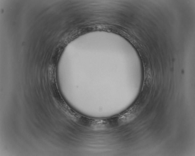 X0000080130222200701051427