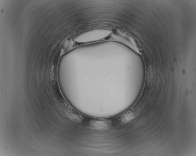 X0000080130224200701051427