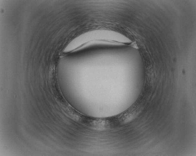 X0000080130225200701051427