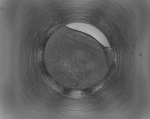 X0000080130227200701051427