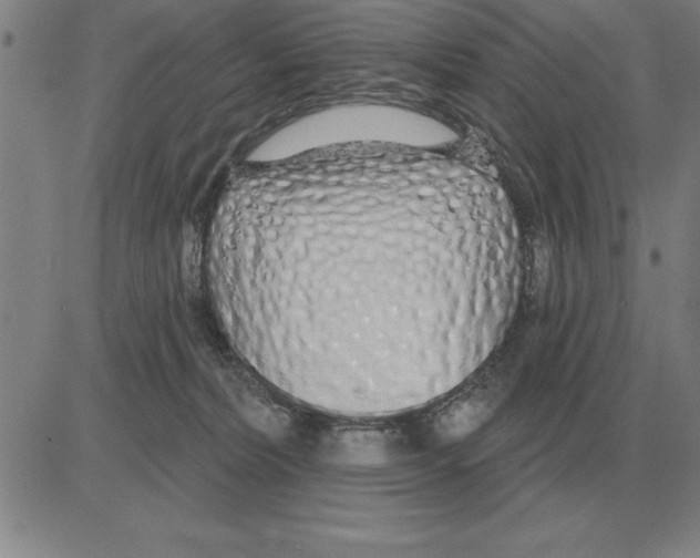 X0000080130228200701051427