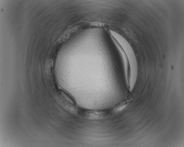 X0000080130229200701051427