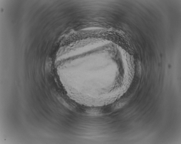 X0000080130231200701051427