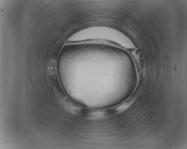 X0000080130237200701051427