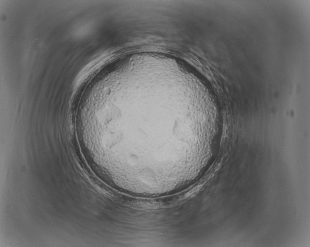 X0000080130245200701051426