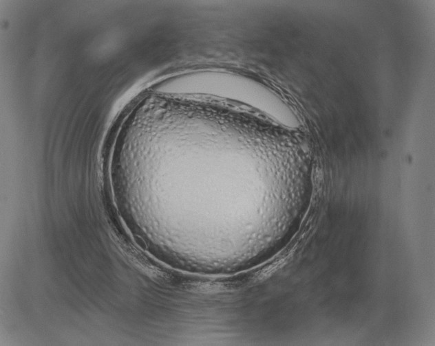 X0000080130246200701051426