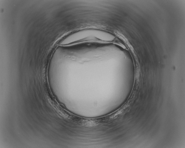 X0000080130249200701051426