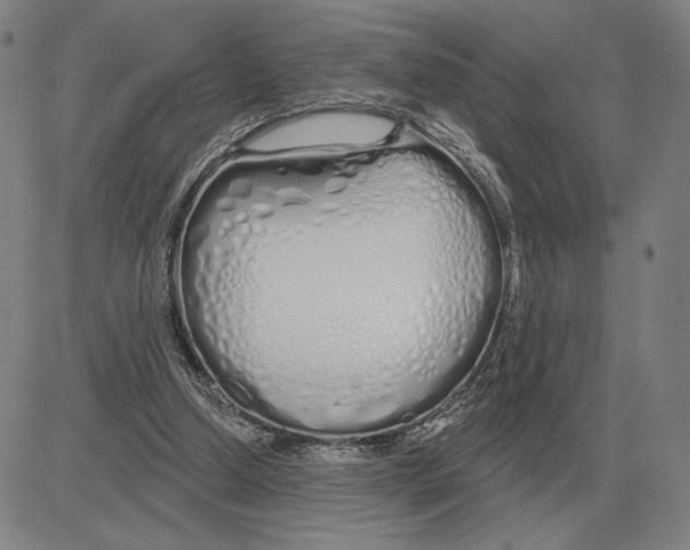 X0000080130250200701051426