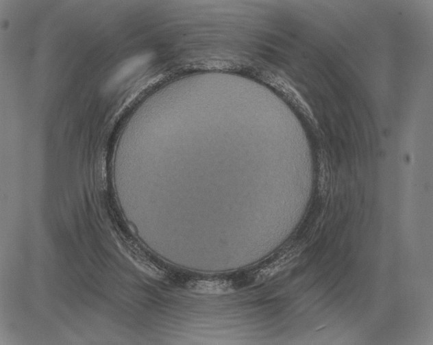X0000080130251200701051426