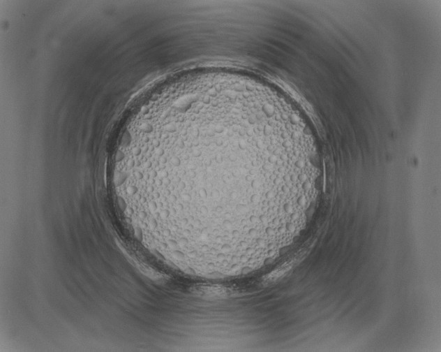 X0000080130253200701051426