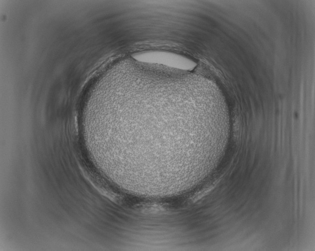 X0000080130254200701051426