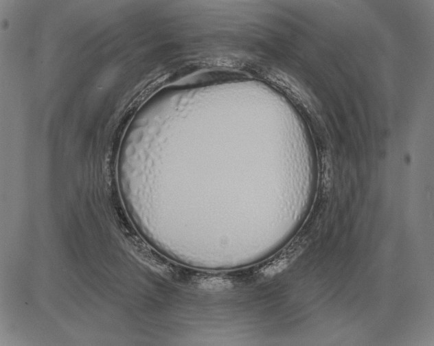 X0000080130258200701051426