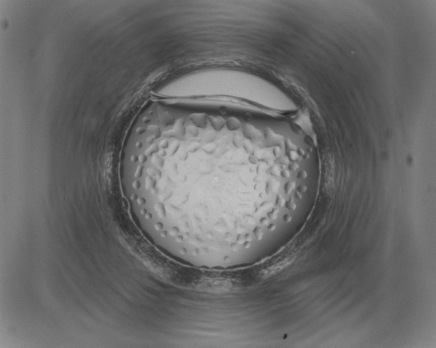 X0000080130260200701051426