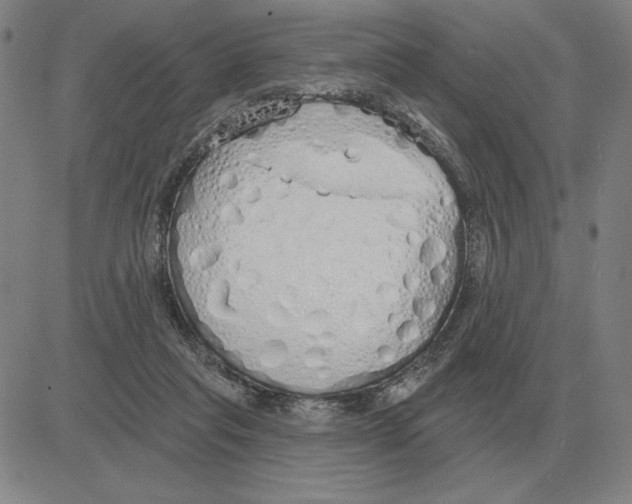 X0000080130261200701051426
