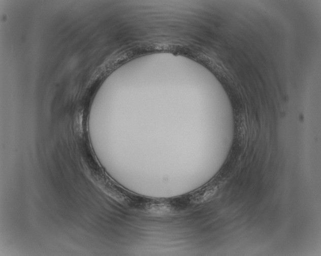 X0000080130262200701051426