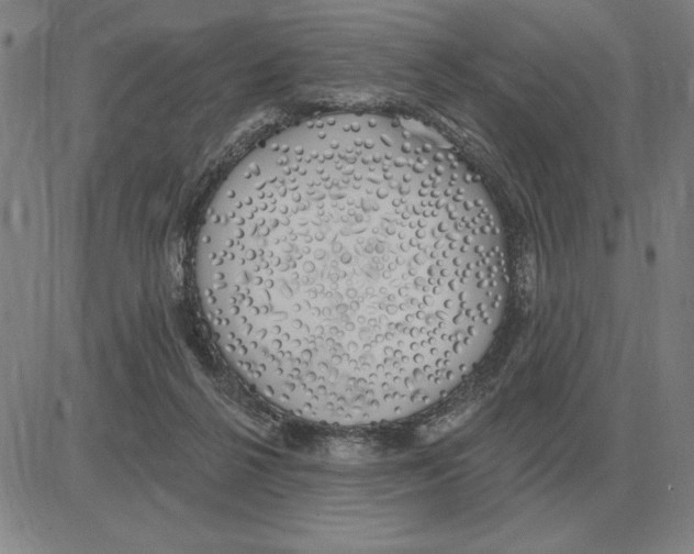 X0000080130264200701051427