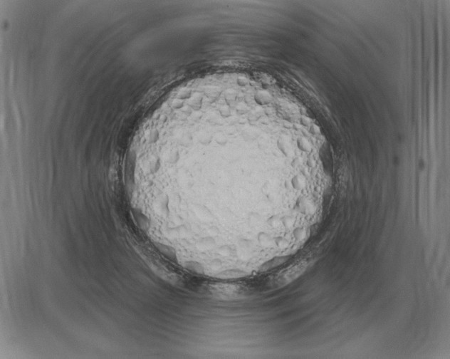 X0000080130265200701051427