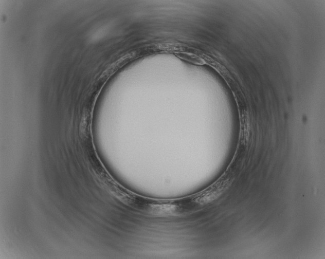 X0000080130266200701051427
