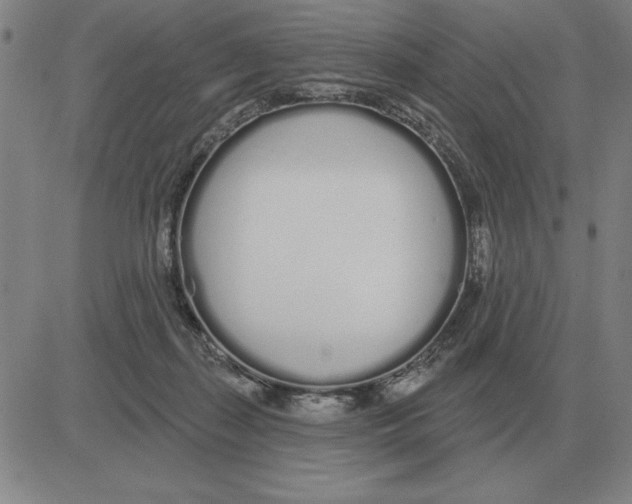 X0000080130267200701051427