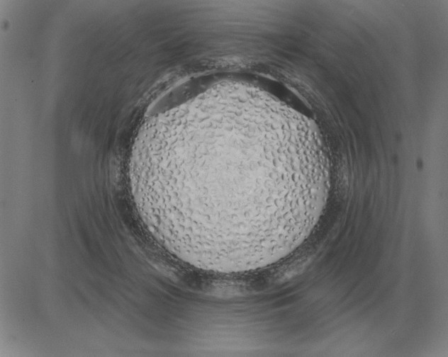 X0000080130268200701051427