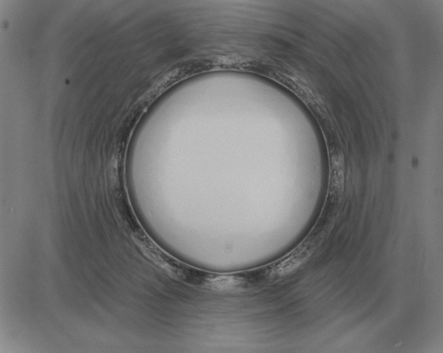 X0000080130269200701051427