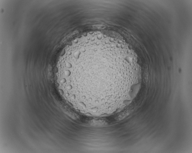 X0000080130270200701051427