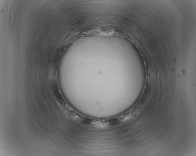 X0000080130272200701051427