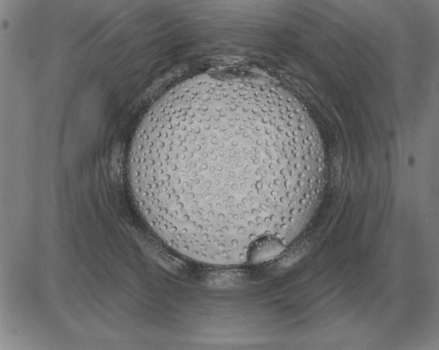 X0000080130274200701051427