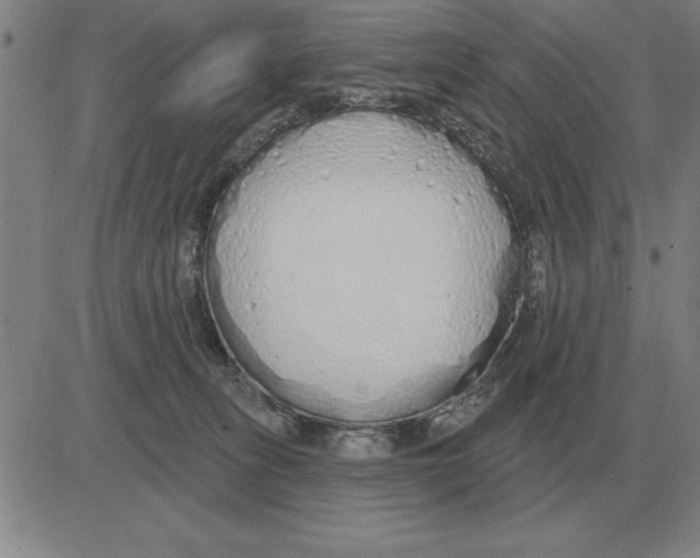 X0000080130275200701051427