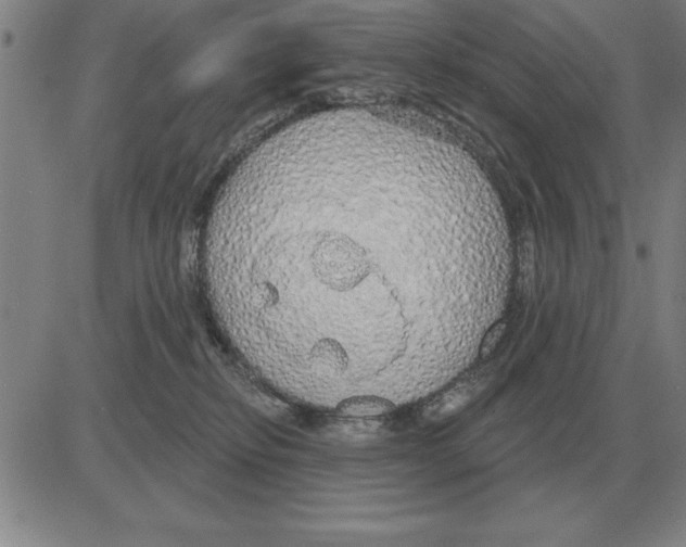 X0000080130278200701051427