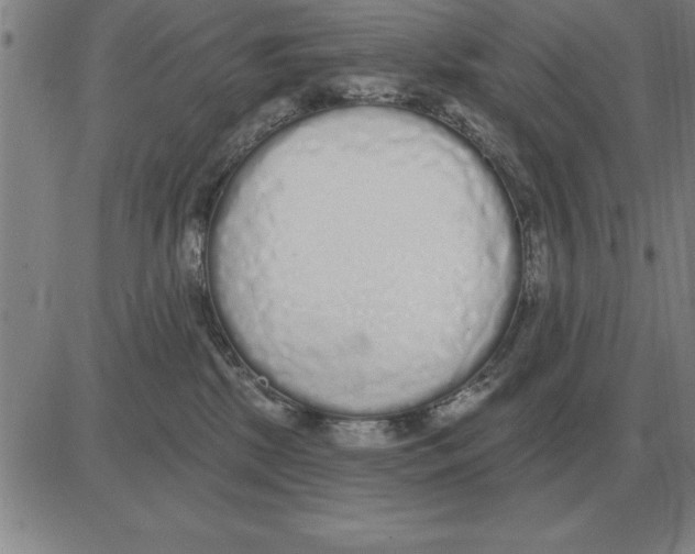 X0000080130281200701051427