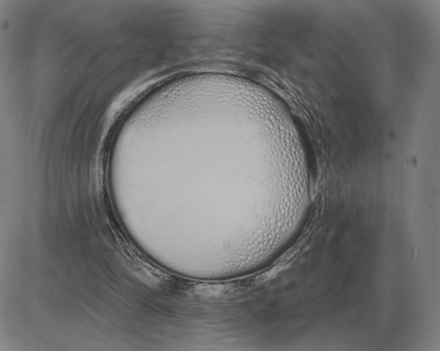 X0000080130294200701051426