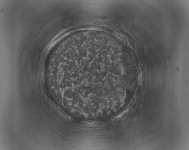 X0000080130295200701051426