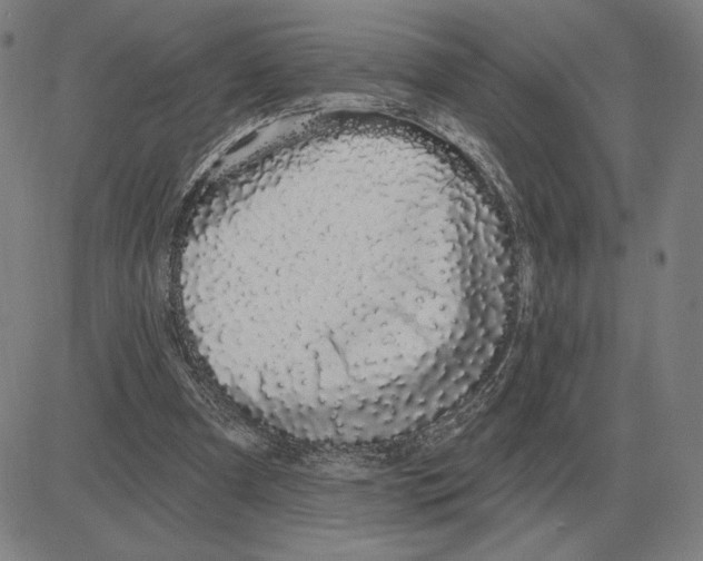 X0000080130297200701051426
