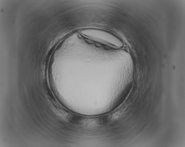 X0000080130299200701051426