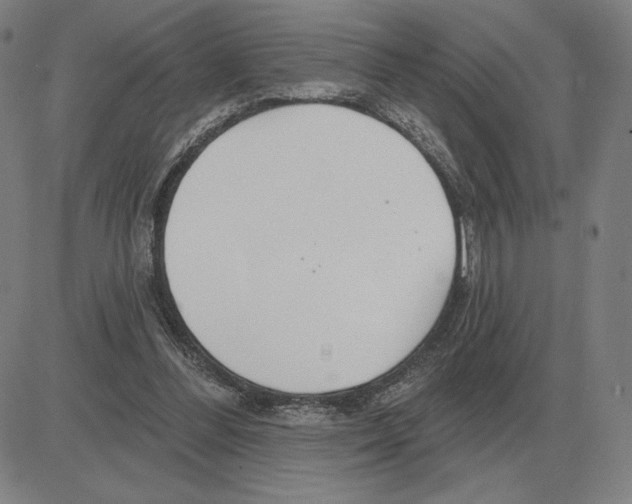 X0000080130300200701051426