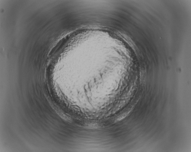 X0000080130301200701051426