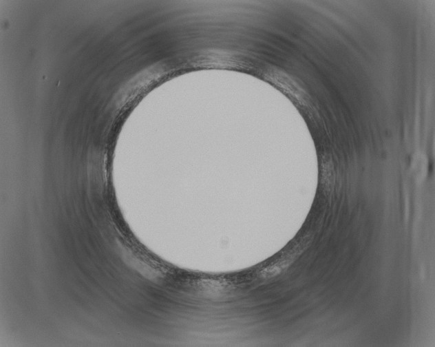X0000080130302200701051426