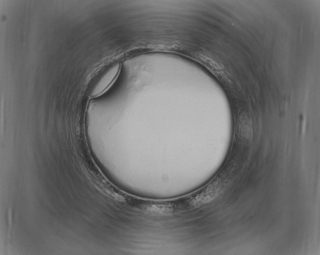 X0000080130303200701051426