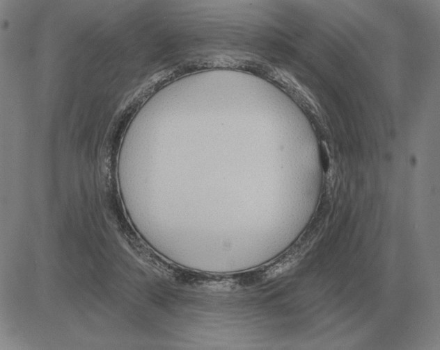 X0000080130306200701051426
