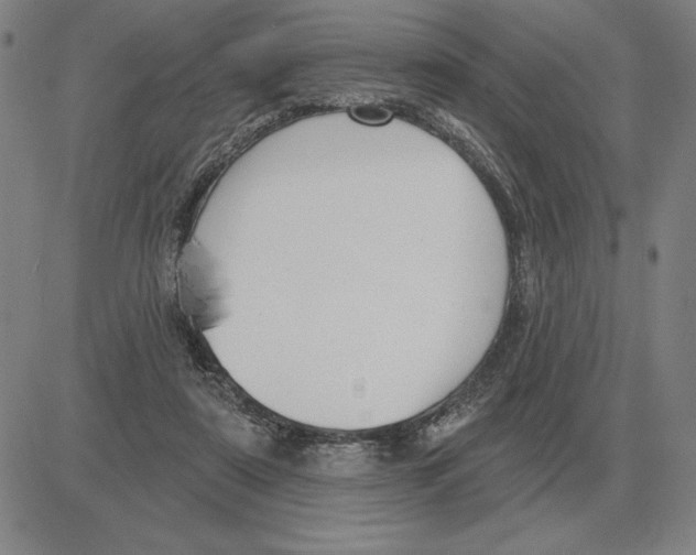 X0000080130307200701051426
