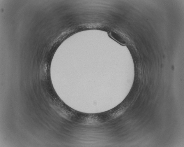 X0000080130308200701051426