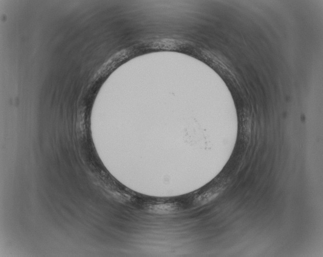 X0000080130312200701051426